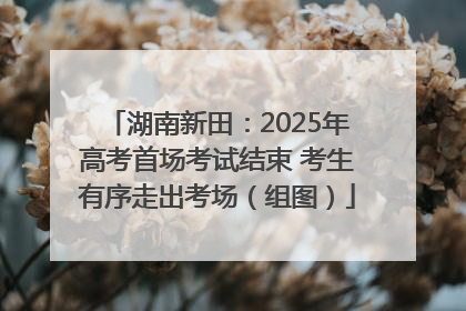 湖南新田：2025年高考首场考试结束 考生有序走出考场（组图）