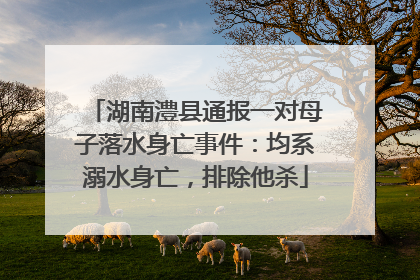 湖南澧县通报一对母子落水身亡事件：均系溺水身亡，排除他杀
