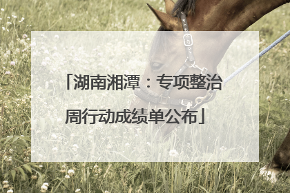 湖南湘潭：专项整治周行动成绩单公布