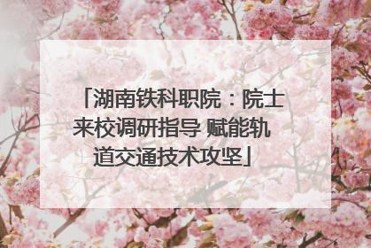 湖南铁科职院：院士来校调研指导 赋能轨道交通技术攻坚