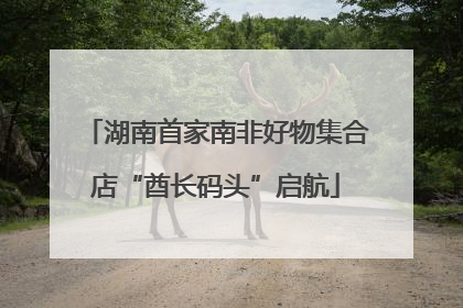湖南首家南非好物集合店“酋长码头”启航