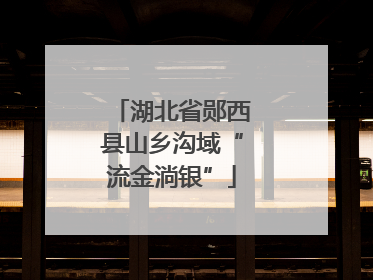 湖北省郧西县山乡沟域“流金淌银”