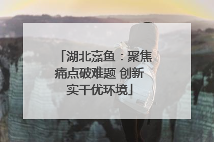 湖北嘉鱼：聚焦痛点破难题 创新实干优环境