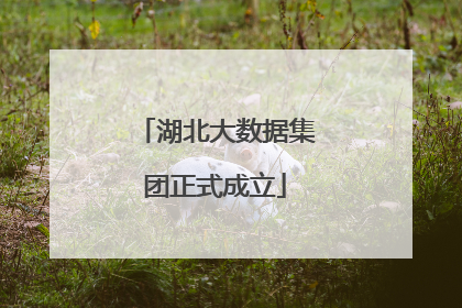 湖北大数据集团正式成立