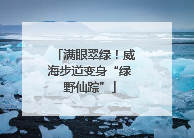 满眼翠绿！威海步道变身“绿野仙踪”