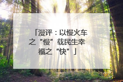 漫评：以慢火车之“慢”载民生幸福之“快”