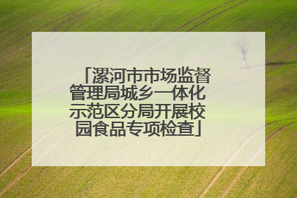 漯河市市场监督管理局城乡一体化示范区分局开展校园食品专项检查