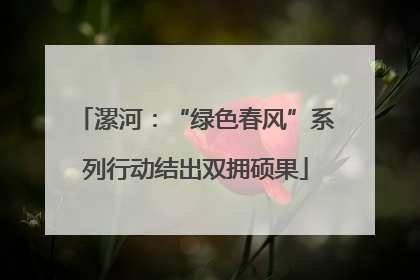漯河：“绿色春风”系列行动结出双拥硕果