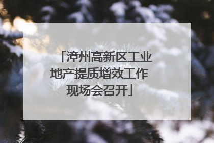 漳州高新区工业地产提质增效工作现场会召开