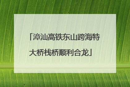 漳汕高铁东山跨海特大桥栈桥顺利合龙