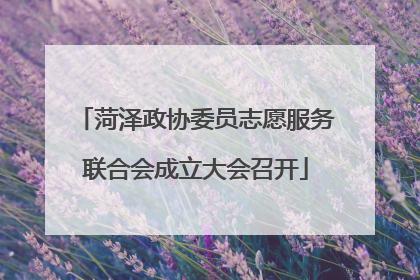 菏泽政协委员志愿服务联合会成立大会召开