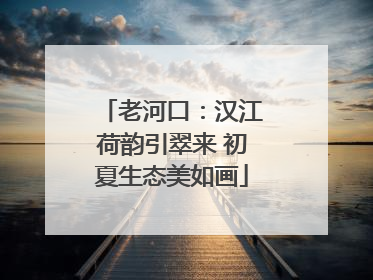 老河口：汉江荷韵引翠来 初夏生态美如画
