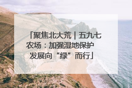聚焦北大荒｜五九七农场：加强湿地保护 发展向“绿”而行
