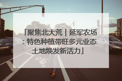 聚焦北大荒｜延军农场：特色种植带旺多元业态 土地焕发新活力