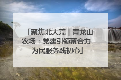 聚焦北大荒｜青龙山农场：党建引领聚合力 为民服务践初心