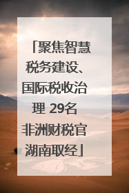 聚焦智慧税务建设、国际税收治理 29名非洲财税官湖南取经