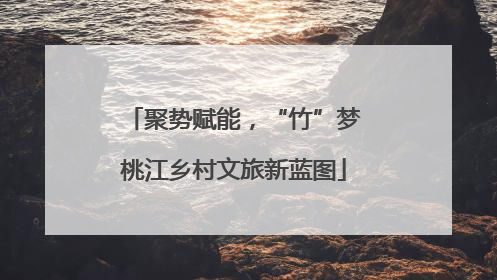 聚势赋能，“竹”梦桃江乡村文旅新蓝图