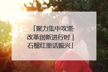 聚力集中攻坚·改革创新进行时｜石榴红里话振兴