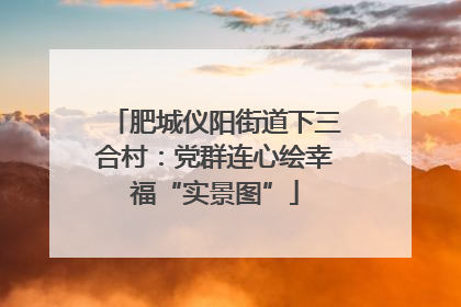 肥城仪阳街道下三合村：党群连心绘幸福“实景图”
