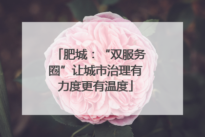 肥城：“双服务圈”让城市治理有力度更有温度