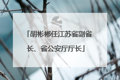 胡彬郴任江苏省副省长、省公安厅厅长