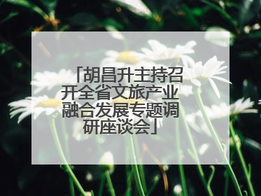 胡昌升主持召开全省文旅产业融合发展专题调研座谈会