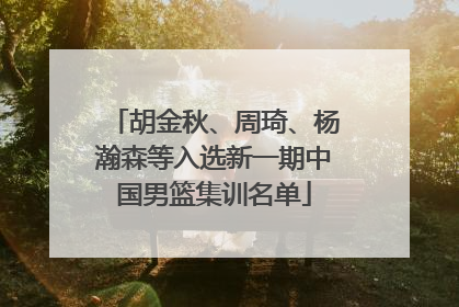 胡金秋、周琦、杨瀚森等入选新一期中国男篮集训名单