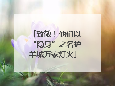 致敬！他们以“隐身”之名护羊城万家灯火