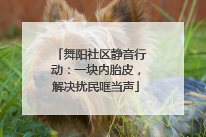 舞阳社区静音行动：一块内胎皮，解决扰民哐当声