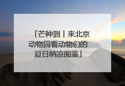 芒种到丨来北京动物园看动物们的夏日纳凉图鉴