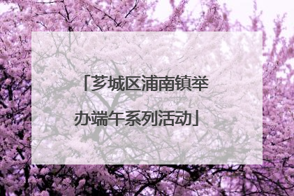 芗城区浦南镇举办端午系列活动