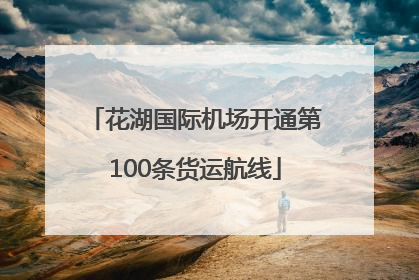 花湖国际机场开通第100条货运航线