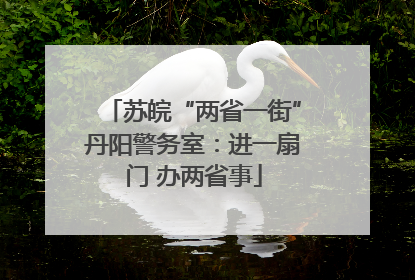 苏皖“两省一街”丹阳警务室：进一扇门 办两省事
