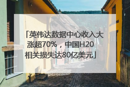 英伟达数据中心收入大涨超70%，中国H20相关损失达80亿美元