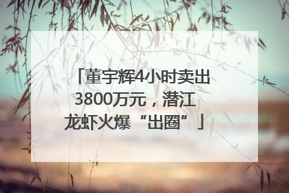 董宇辉4小时卖出3800万元，潜江龙虾火爆“出圈”
