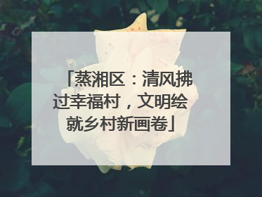 蒸湘区：清风拂过幸福村，文明绘就乡村新画卷