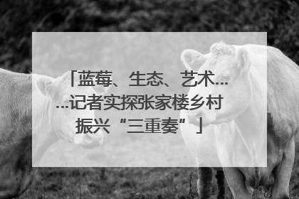 蓝莓、生态、艺术……记者实探张家楼乡村振兴“三重奏”