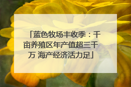 蓝色牧场丰收季：千亩养殖区年产值超三千万 海产经济活力足