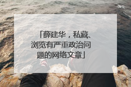 薛建华，私藏、浏览有严重政治问题的网络文章