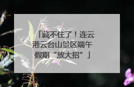 藏不住了！连云港云台山景区端午假期“放大招”