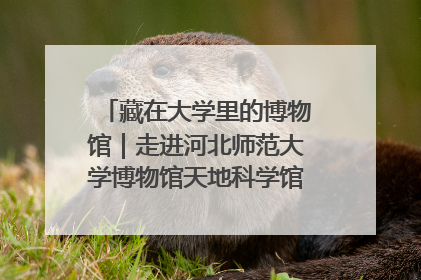 藏在大学里的博物馆｜走进河北师范大学博物馆天地科学馆：在校园里赴一场“宇宙之约”