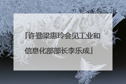 许勤梁惠玲会见工业和信息化部部长李乐成