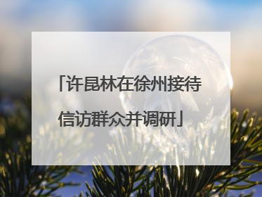 许昆林在徐州接待信访群众并调研