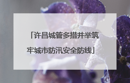 许昌城管多措并举筑牢城市防汛安全防线