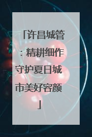 许昌城管：精耕细作守护夏日城市美好容颜