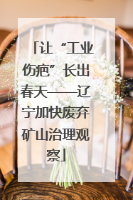 让“工业伤疤”长出春天——辽宁加快废弃矿山治理观察