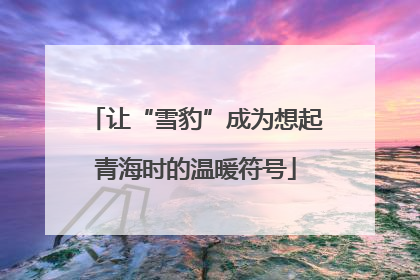 让“雪豹”成为想起青海时的温暖符号