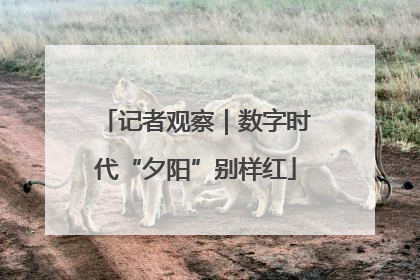 记者观察｜数字时代“夕阳”别样红