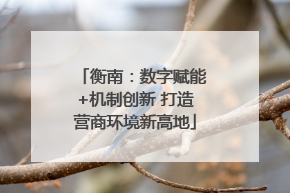衡南：数字赋能+机制创新 打造营商环境新高地