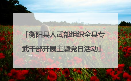 衡阳县人武部组织全县专武干部开展主题党日活动